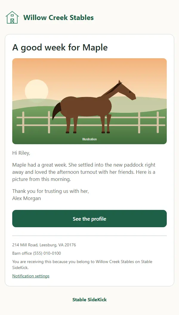 A horse update email with a large picture of a horse by a pasture fence (a drawing here; a barn adds its own photo), a short friendly note from the barn and a button to see the horse profile.